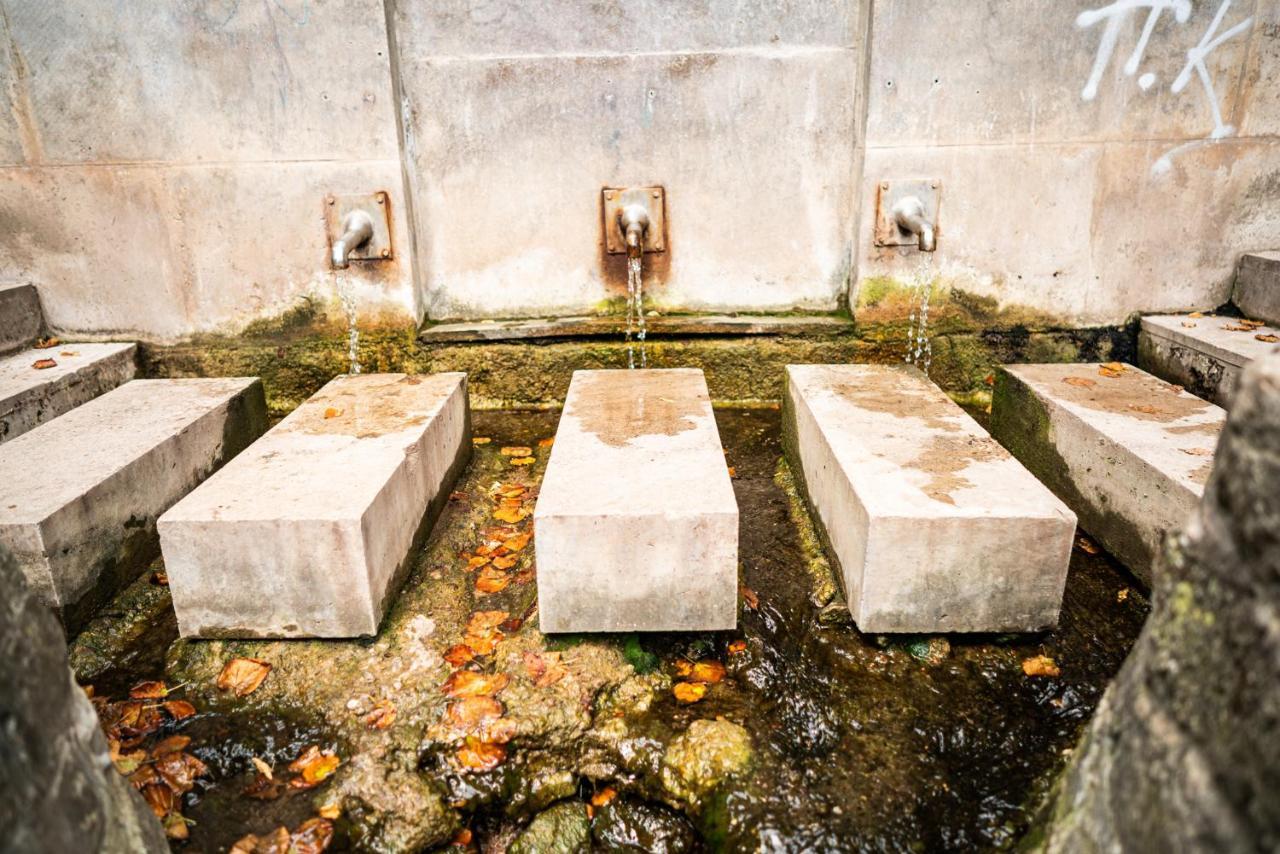 Dreibrunnen Gastehaus Im Luisenpark Hotel Erfurt Luaran gambar